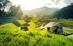 Doi Inthanon National Park Small Group Tour