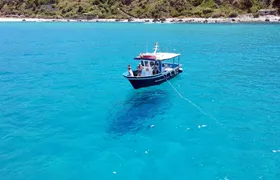 Pizzo Half-day Boat Tour