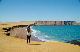 Ballestas Islands and Paracas National Reserve tour