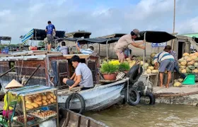 Full-day Cai Rang and Mekong Delta guided private tour