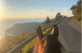 Horse ride on the coast of Monterosso al Mare Cinque Terre
