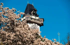 Walking tour to the Instaworthy spots of Graz with a local