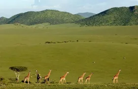3 Days Maasai Mara Safari from Mombasa