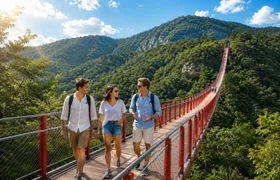 DMZ and Mt. Gamaksan Red Suspension Bridge Tour from Seoul