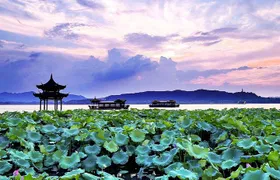 Half-Day Flexible Private Hangzhou Highlight Tour