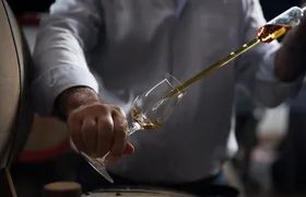 "3 facets of the Cognac country" private tour from Angouleme