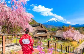 Mount Fuji top 4 must-visit attractions full day tour from Tokyo