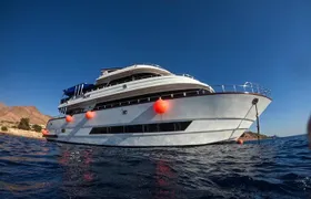 Journey of Diving or Snorkelling from a Boat