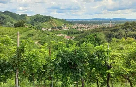 Prosecco Hills Day Trip from Venice & Treviso: 2 Wineries