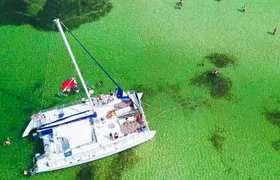 Shell Island Snorkel and Dolphin Catamaran Cruise with Island Time 