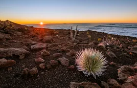 Self-Guided Driving Tour of Haleakalā Volcanic Wonders