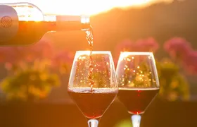 4-Hour Traverse City Sunset Wine Tour: 3 Wineries on Old Mission Peninsula
