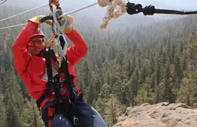 Combo Course Zipline Tour