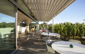 Classic Wine Tasting Tour on Lipari Island