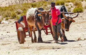 Saga of the Sani Pass and Mokhotlong Tour