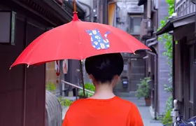 Kanazawa Half Day Tour (Private Guide)