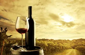 Barossa Valley Cellar Door Small Group Tour