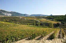 Visit to Two Wineries in La Rioja from Logroño with Tasting and Tapas