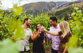 Award Winning Premium Wine Tour Queenstown Tasting at 4 Wineries