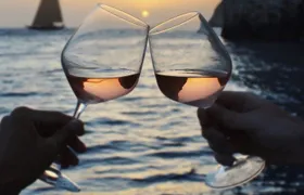 Zakynthos Turtle Spotting & Sunset Cruise to Myzithres with Wine
