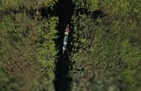 1 Day Okavango Delta Mokoro/Canoe Daytrip