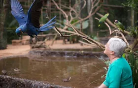 Itaipu Dam & Bird Park & Iguassu Falls Brazilian Side From Puerto Iguazu Hotels