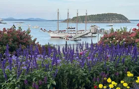Bar Harbor and Acadia Full Day Private Tour From Bangor