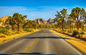 Audio-Guided Driving of the Joshua Tree National Park