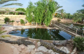 Djerba island tour with crocodile farm