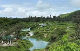 Mountain Safari Private Tour