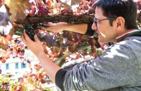 Tramonti wine tasting at Apicella winery