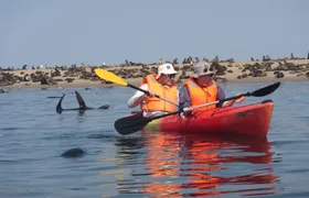 Pelican Point Kayaking Half-Day Tour