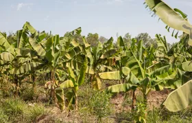 Full Day Tour at a Sustainable Farm from Somone with Lunch