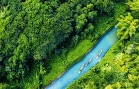 Bamboo rafting on Martha Brae River
