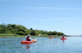 3 Hour Kayak/SUP Rental in Biddeford Pool