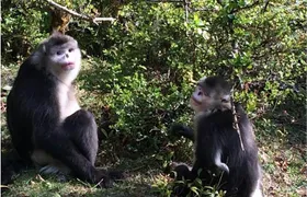 4 Days Shangri-La Circle Tour and Three Parallel Rivers Adventure Start from Shangrila