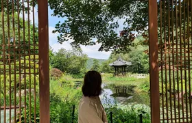 Private Tour: Nami Island & Arboretum & Rail Bike (All Inclusive)