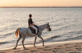 Almada Horse Walk on the Beach Taste Vins and Christ King