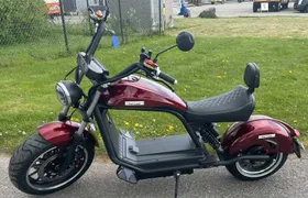 Texel Cafe cruiser tour