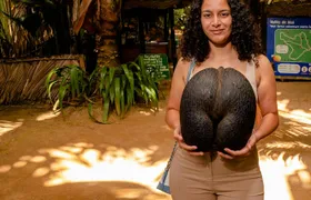 Vallée de Mai guided walking tour