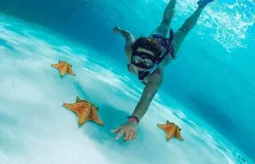 Cielo, Cielito, Palancar and Colombia Reefs Boat Tour