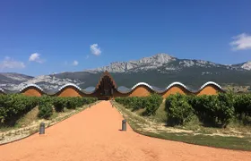 Semi-Private Rioja Tour of 3 Premium Wineries from Bilbao
