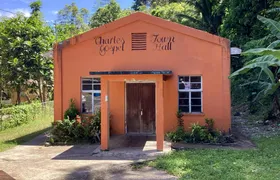 Spirit of the Maroons cultural tour with lunch in Jamaica