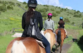 Blue Flower Trail Ride