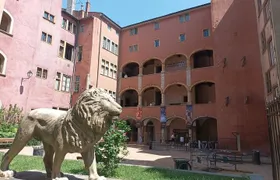 Private guided tour of Lyon
