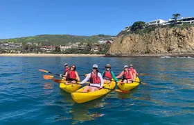 Laguna Beach Kayak Tour with Sea Lion Viewing
