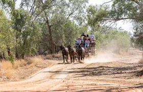 Cobb & Co Stagecoach Experience in Longreach