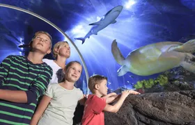 Entrance tickets to Timmendorfer Sea Life aquarium