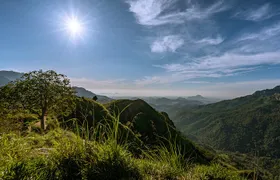 Discover Ella - Ella Rock, Little Adam's Peak & Nine Arch Bridge