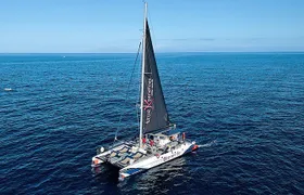 Whale watching and listening Eco-Catamaran Tour with Food Tasting